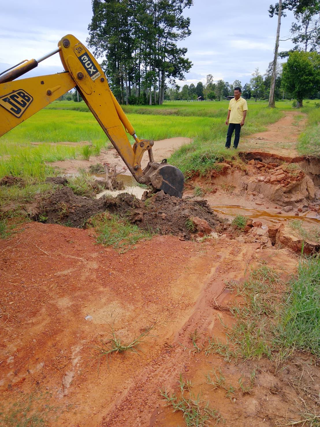 ภาพกิจกรรม